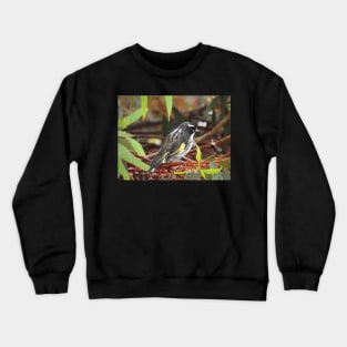 New Holland Honeyeater sitting in a Gum Tree Crewneck Sweatshirt